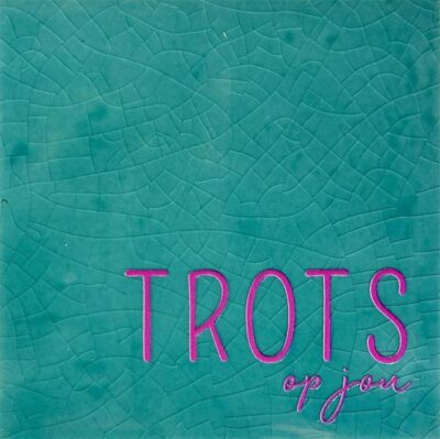 Tegeltje – trots op jou blauw/roze