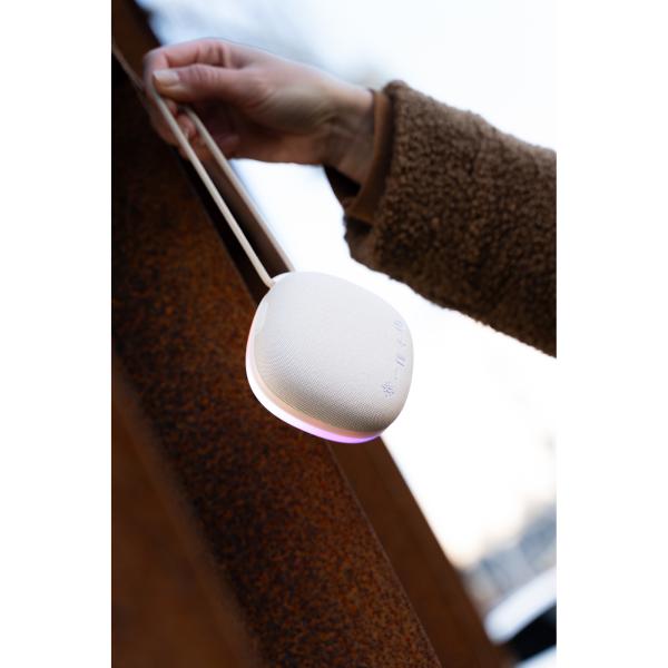 Speaker Zac Grijs - Afbeelding 9