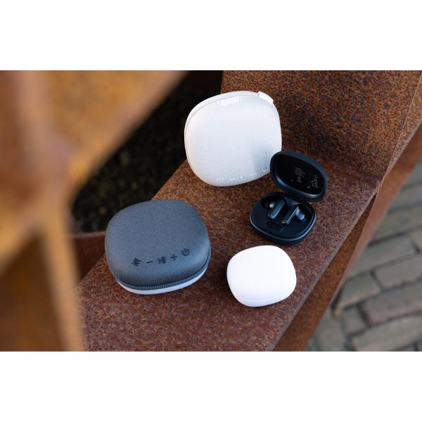 Speaker Zac Grijs - Afbeelding 7